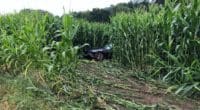 A6 Schüpfen BE - Auto landet nach Unfall im Maisfeld