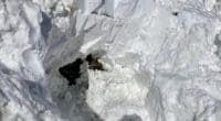 Seealpsee AI - Frau 30 Minuten unter Lawine begraben