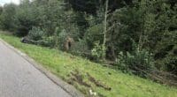 Tödlicher Verkehrsunfall in Mühlrüti SG