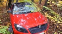 Lenkerin verursacht Selbstunfall in Dornach