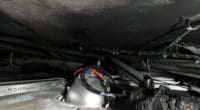 Kabelbrand in Rapperswil-Jona SG