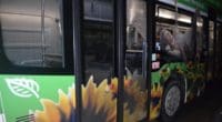 Grenchen SO - Bei drei Linienbussen Fensterscheiben eingeworfen