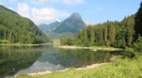 Nuttals Wasserpest breitet sich wieder im Obersee GL aus