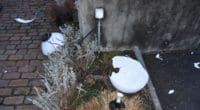 Restaurant-Mobiliar in Niedergösgen SO mutwillig beschädigt