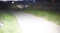 Rollerunfall in Bad Ragaz SG