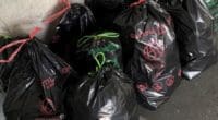 Grosses Chaos nach Party in St.Gallen