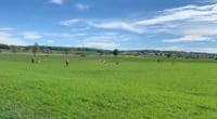 Kleinflugzeug in Oberramsern abgestürzt