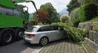 Horw LU: Ausleger eines Lastwagens reisst Baum mit - Radfahrerin verletzt